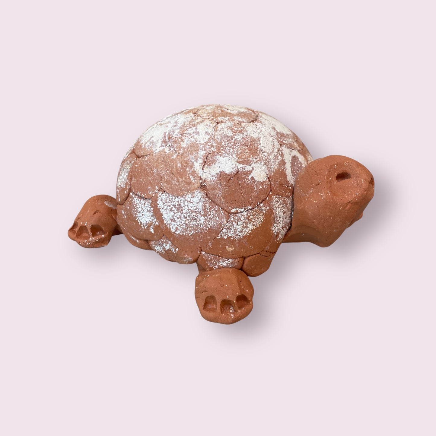 Turtle - Robyn Smaller