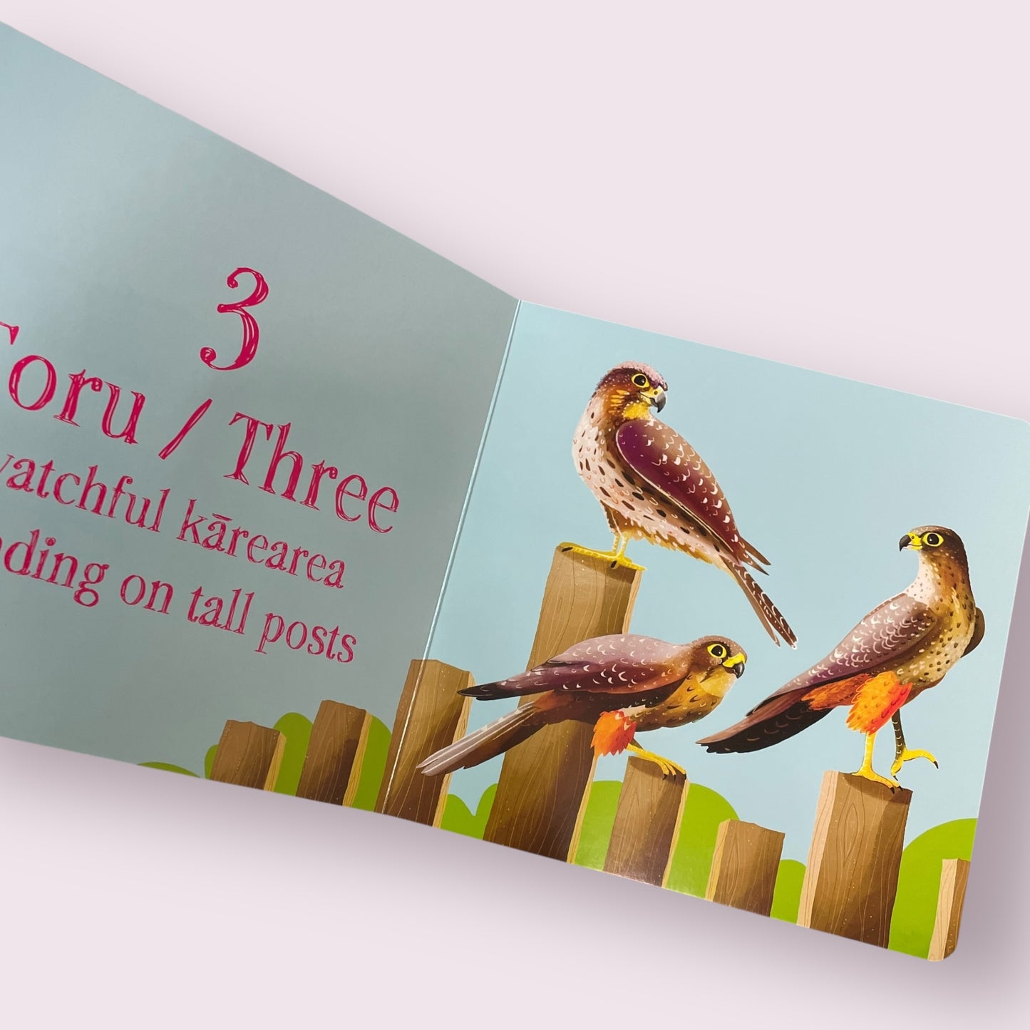 One to Ten with Aotearoa Birds - Hayley Elliott-Kernot