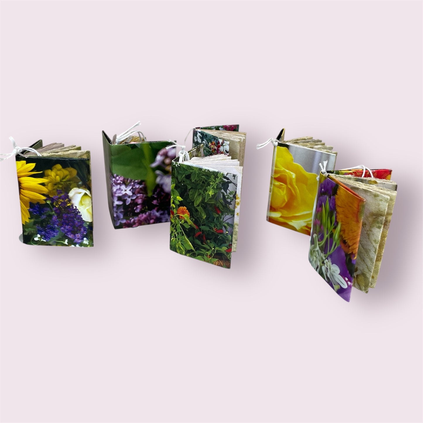 Mini Journal - Eve Jones (sold individually)