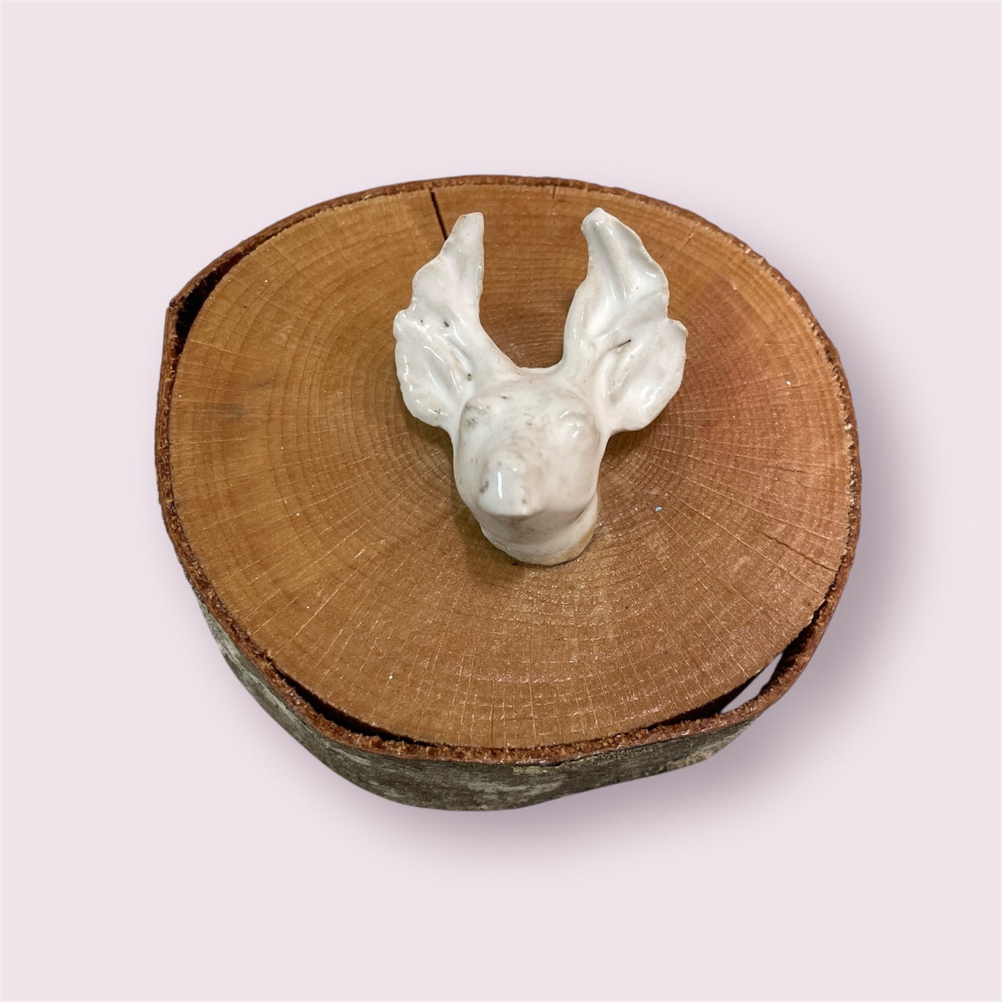 Deer Head - Donna Hitchcock