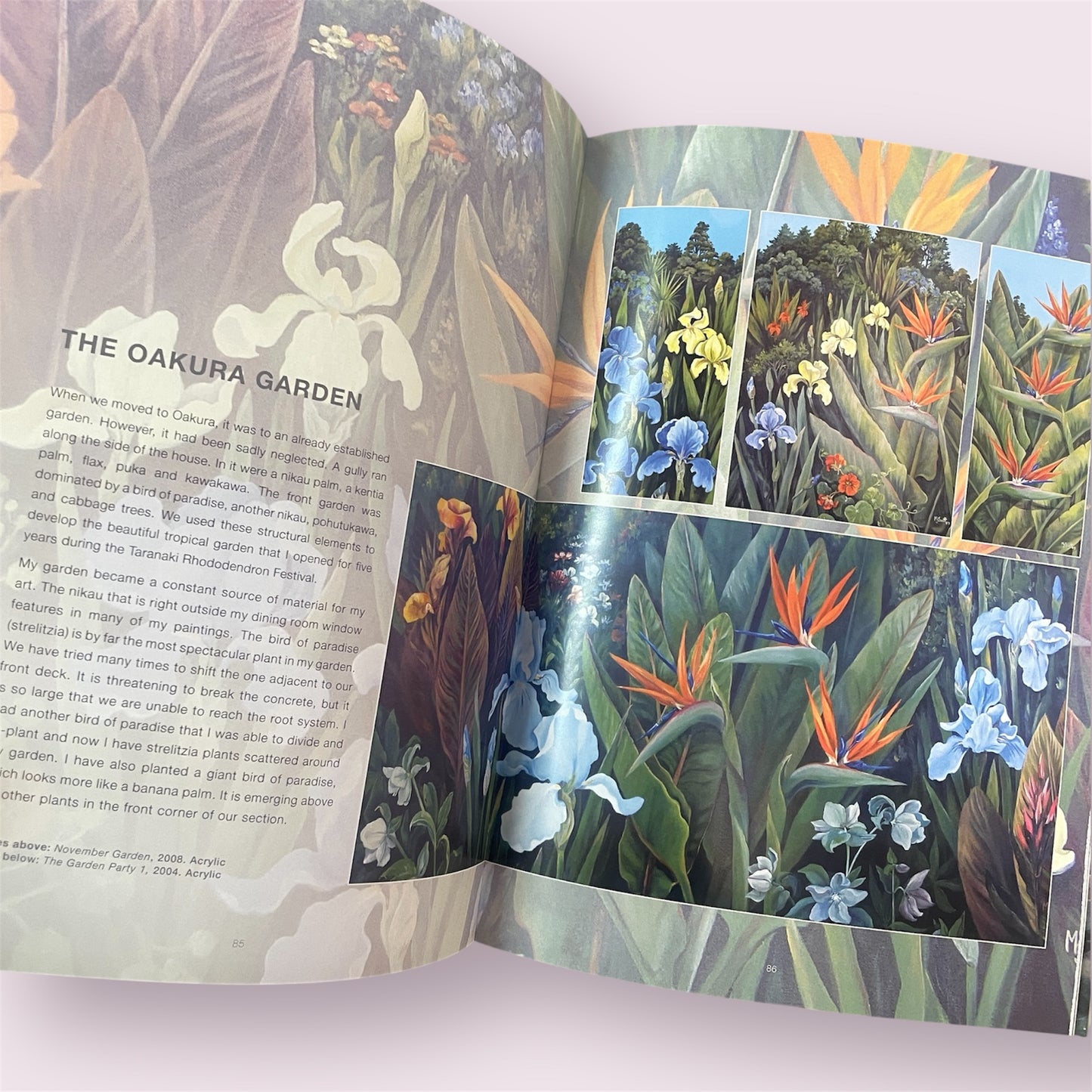 Self-portrait of a paua - Margaret Scott