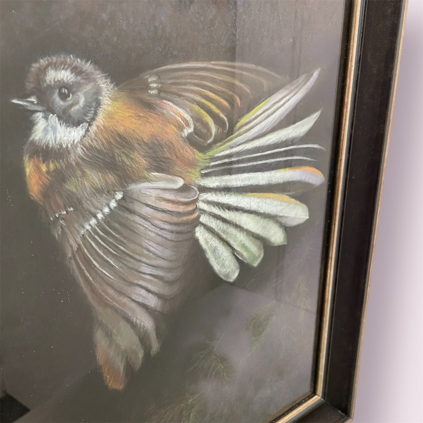 Piwakawaka - Michelle Rowland