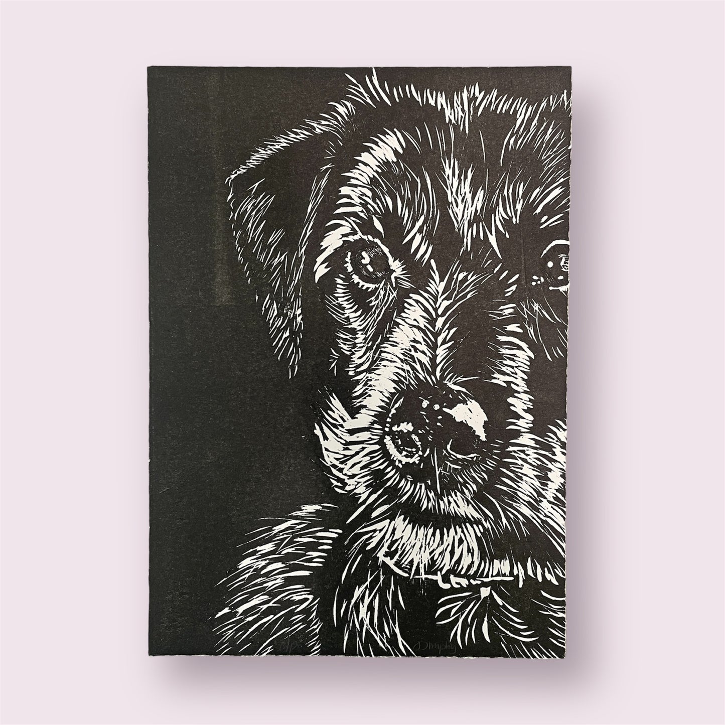 Loyal - Dimphy de Vaan