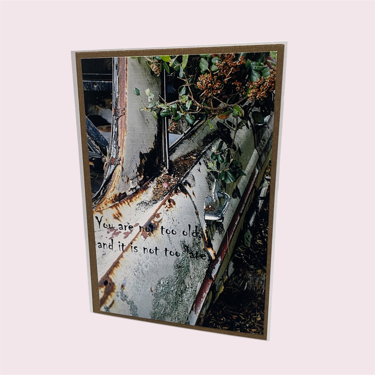 Greeting card 'You are not too old' - Lynda Barnes