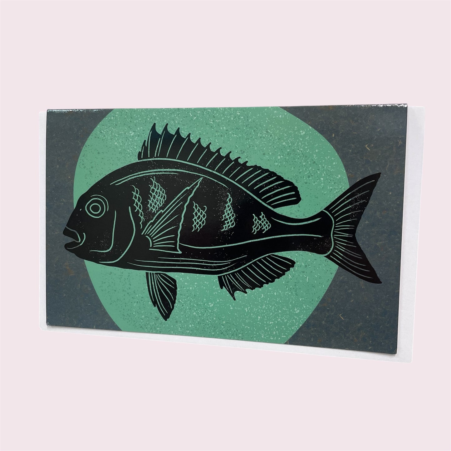 Greeting card 'Snapper' - Helen Cloke