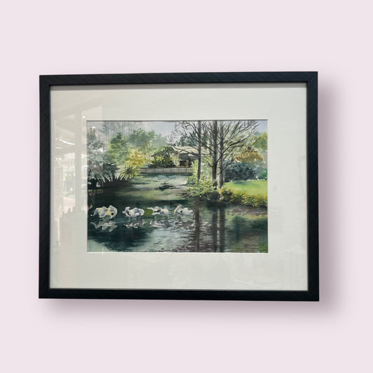 Swan Lake (Brookland Park) - Yvonne Geeraedts