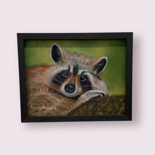 Racooning - Penny Brisco
