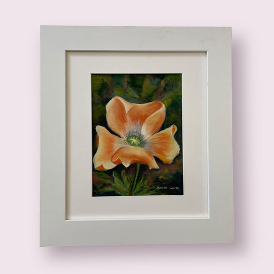 Poppy II - Judith White