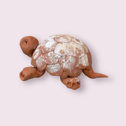 Turtle - Robyn Smaller