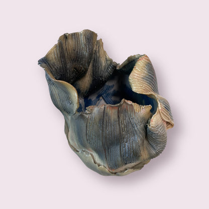 Clay has a mind of its own - Margaret Foley