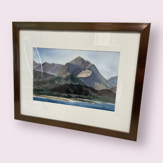 Kaikoura Puhi Puhi - Yvonne Geeraedts