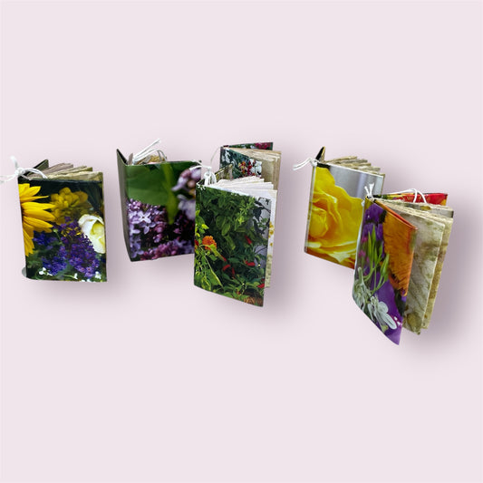Mini Journal - Eve Jones (sold individually)