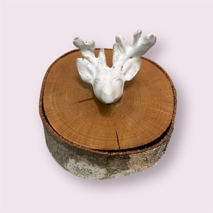 Stag Head - Donna Hitchcock