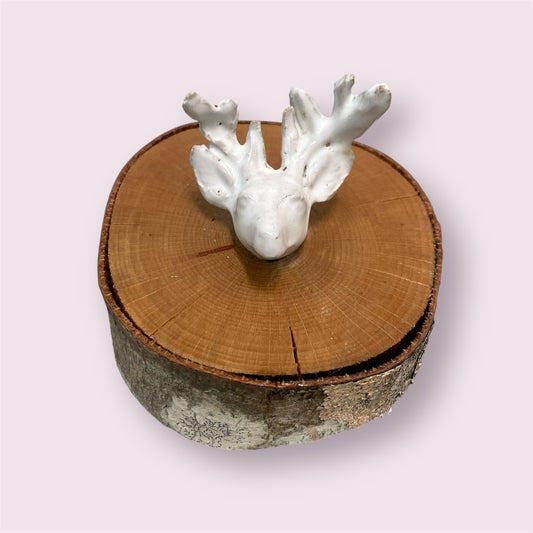 Stag Head - Donna Hitchcock