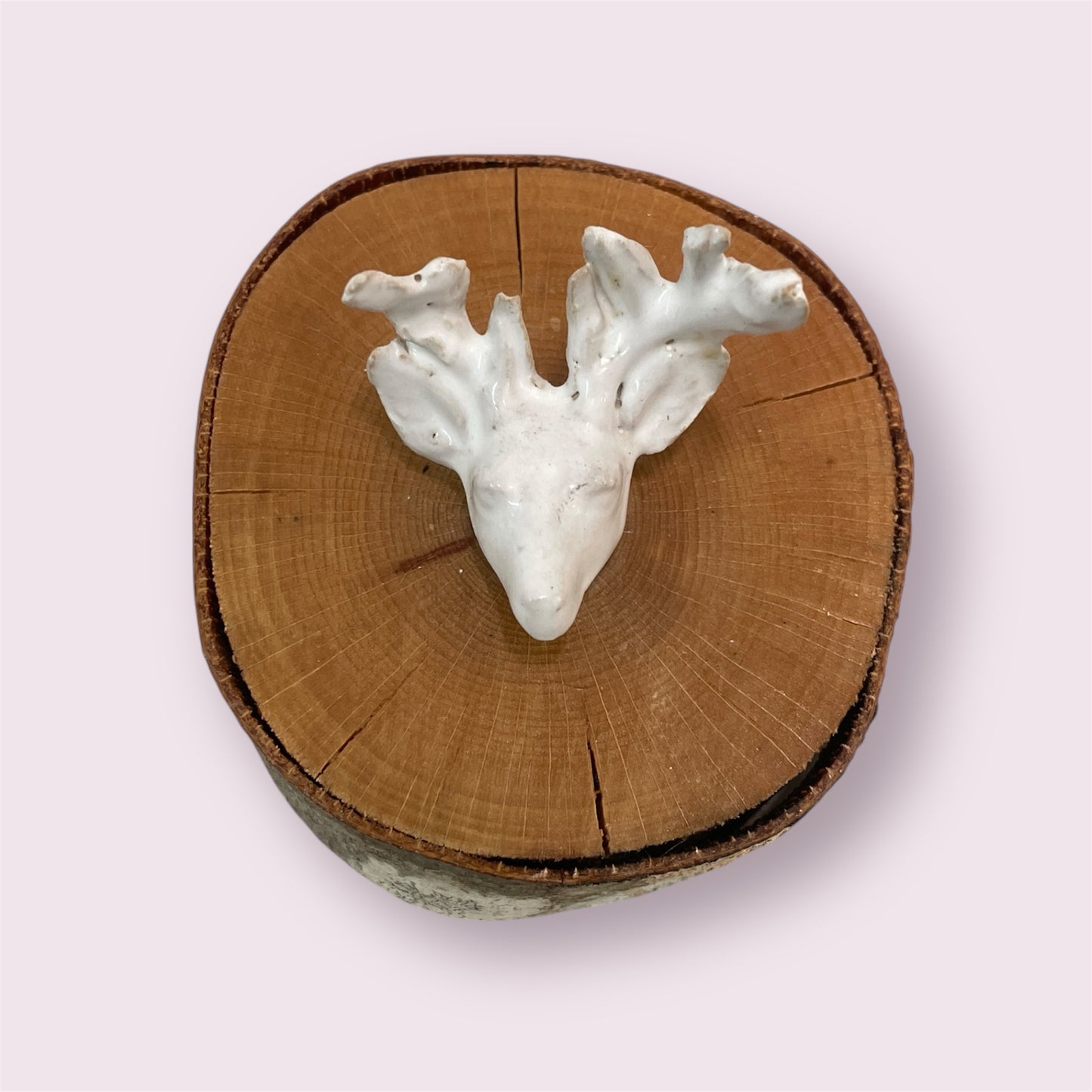 Stag Head - Donna Hitchcock