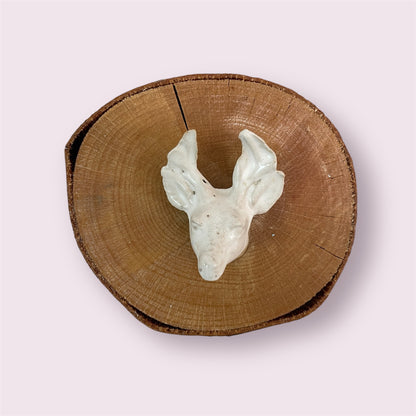 Deer Head - Donna Hitchcock