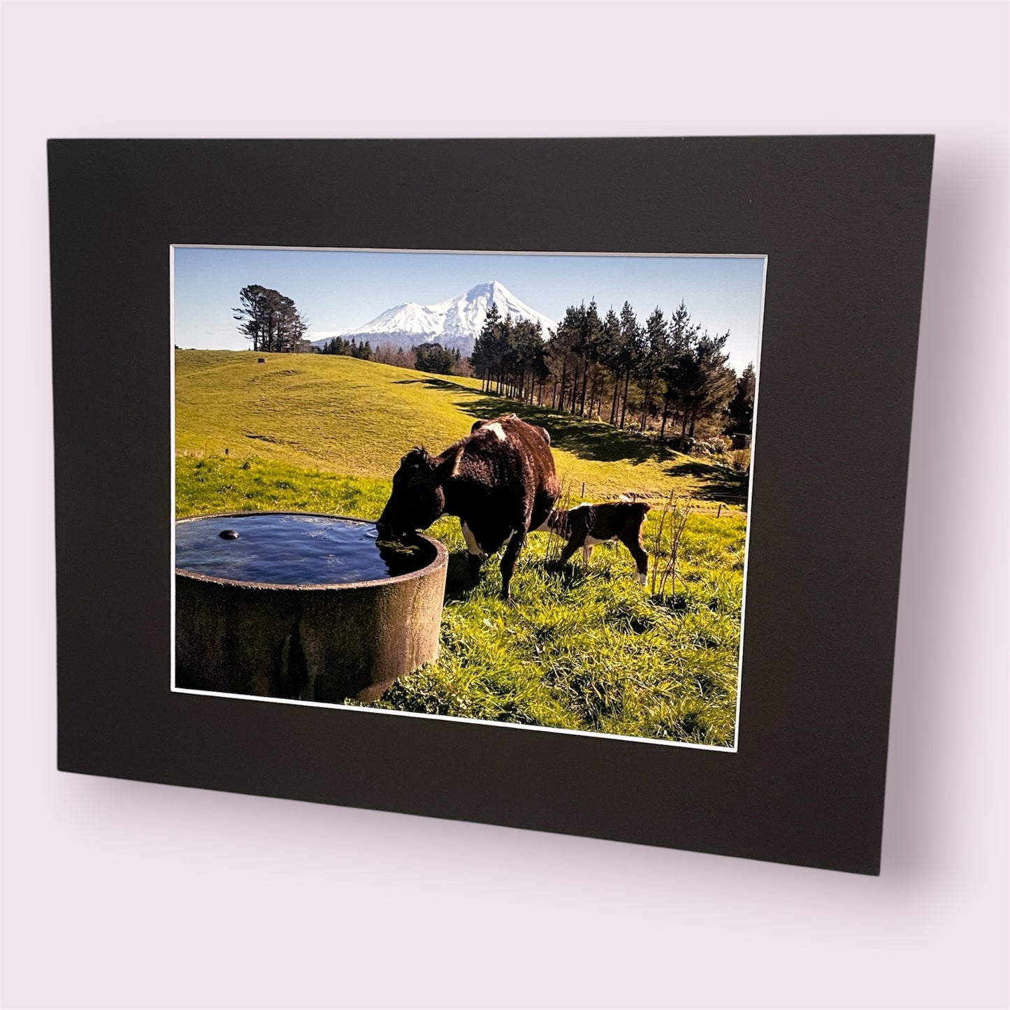 Assorted large matted photographs - Amy Taunt
