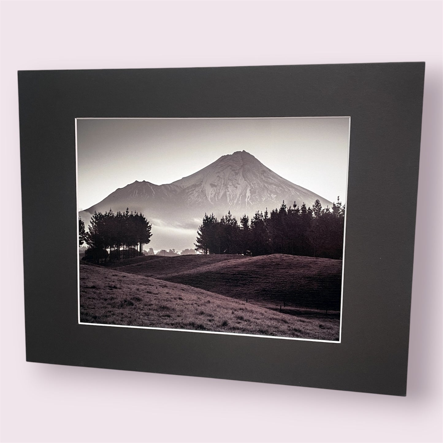 Assorted large matted photographs - Amy Taunt