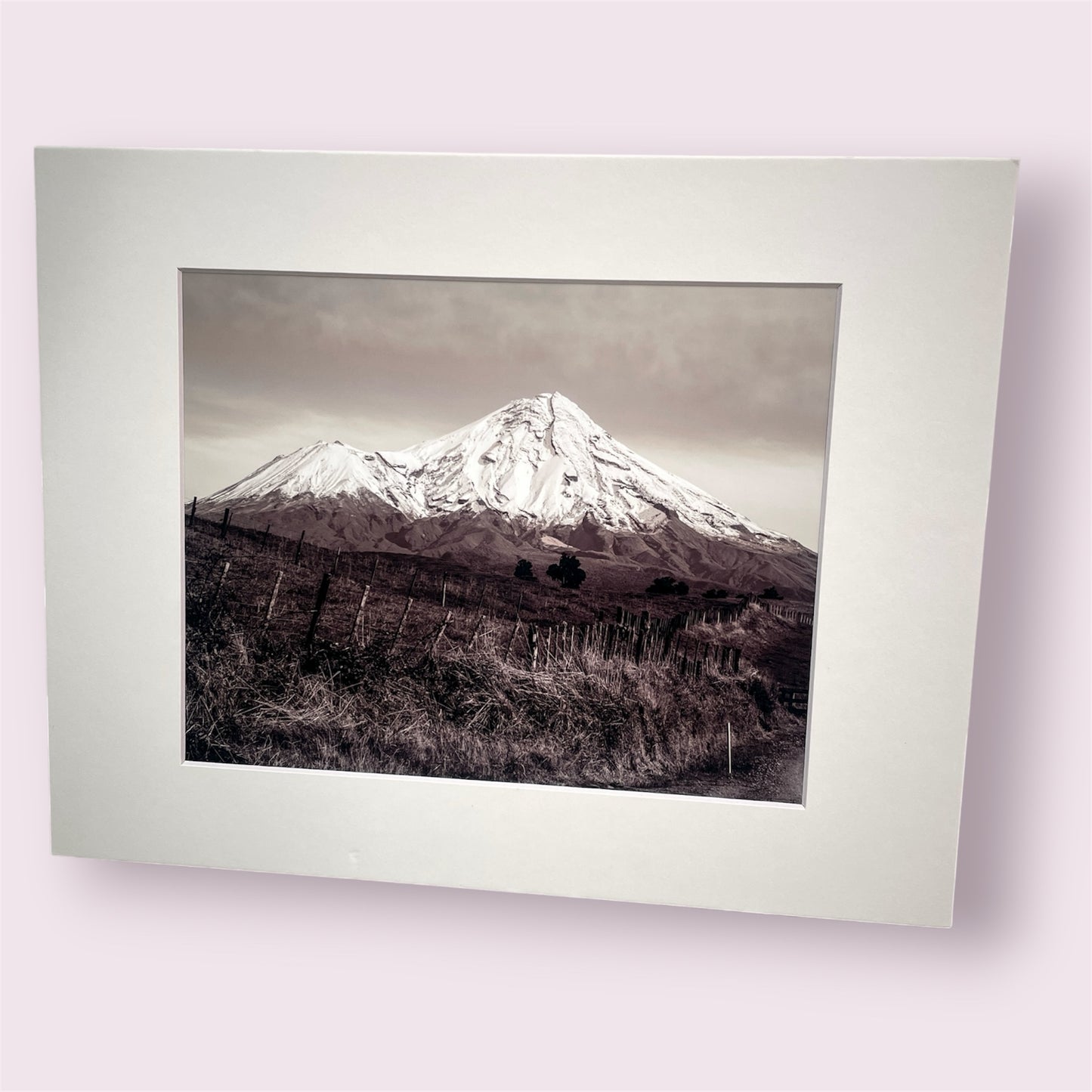 Assorted large matted photographs - Amy Taunt