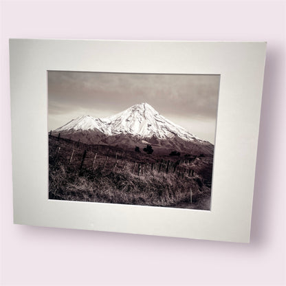Assorted large matted photographs - Amy Taunt