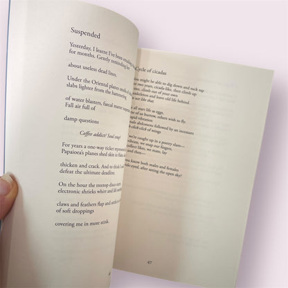 Book 'The Anatomy of Sand' - Mikaela Nyman