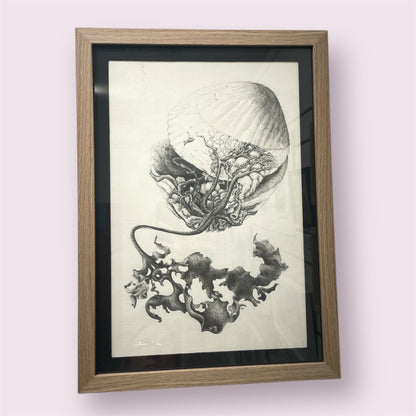 A Curious Clam - Sue Ellis