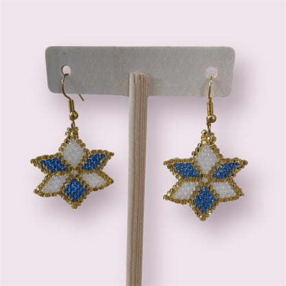 Beaded earrings - June Pawley
