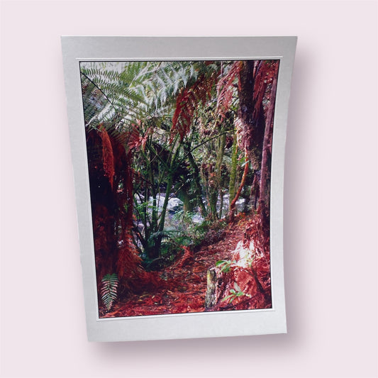 Greeting Card 'Stratford bush walks 5' - Sue Ellis