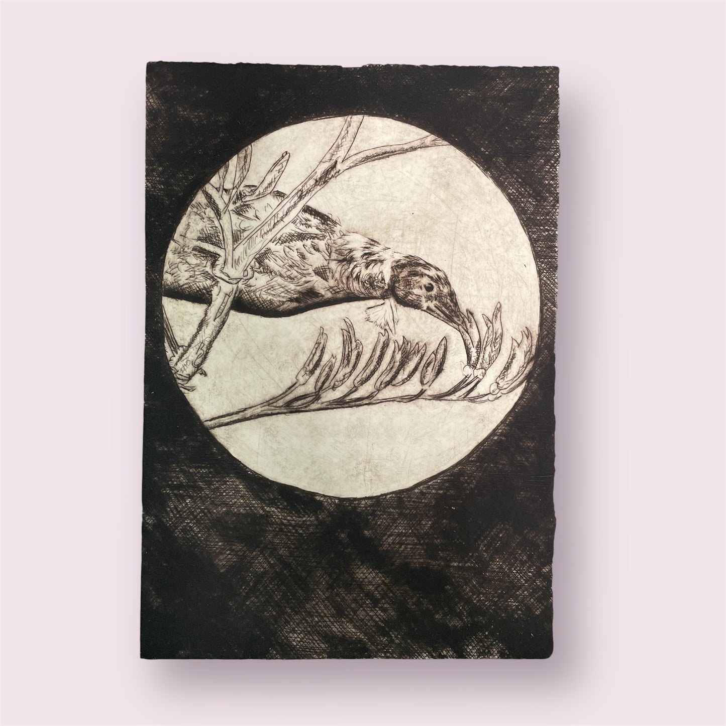 Tui intaglio 2/10 grey - Dimphy de Vaan