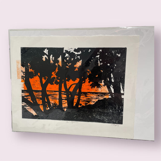 New Plymouth orange - Dimphy de Vaan