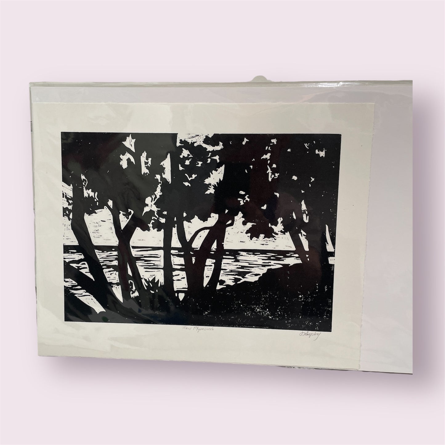 New Plymouth B+W - Dimphy de Vaan