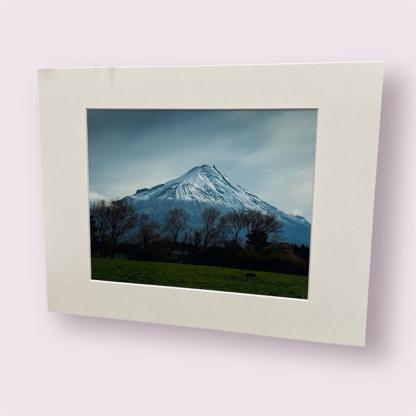 Assorted large matted photographs - Amy Taunt