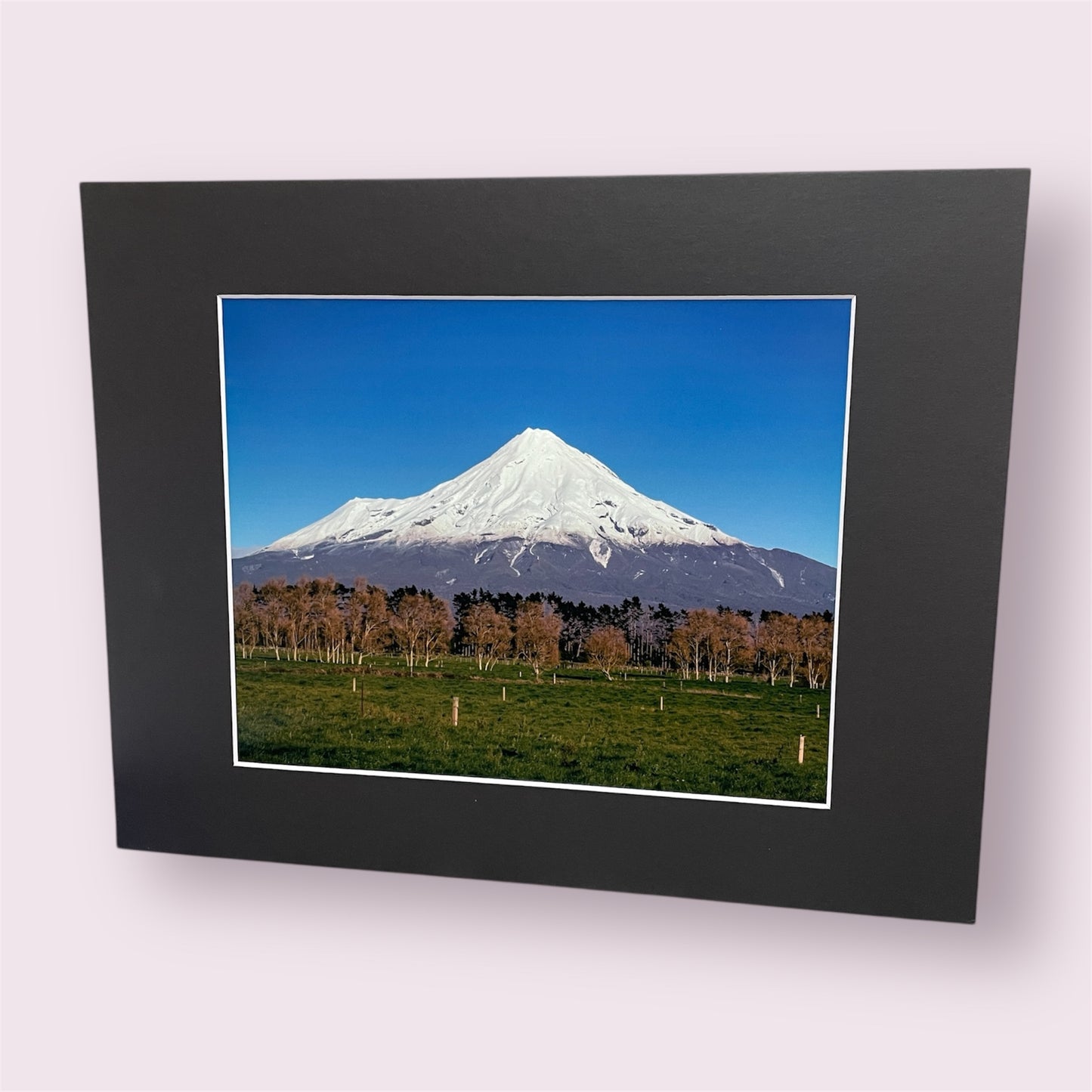 Assorted large matted photographs - Amy Taunt
