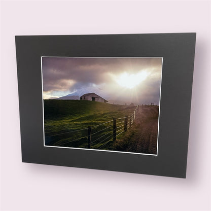 Assorted large matted photographs - Amy Taunt
