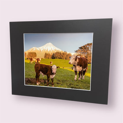 Assorted large matted photographs - Amy Taunt