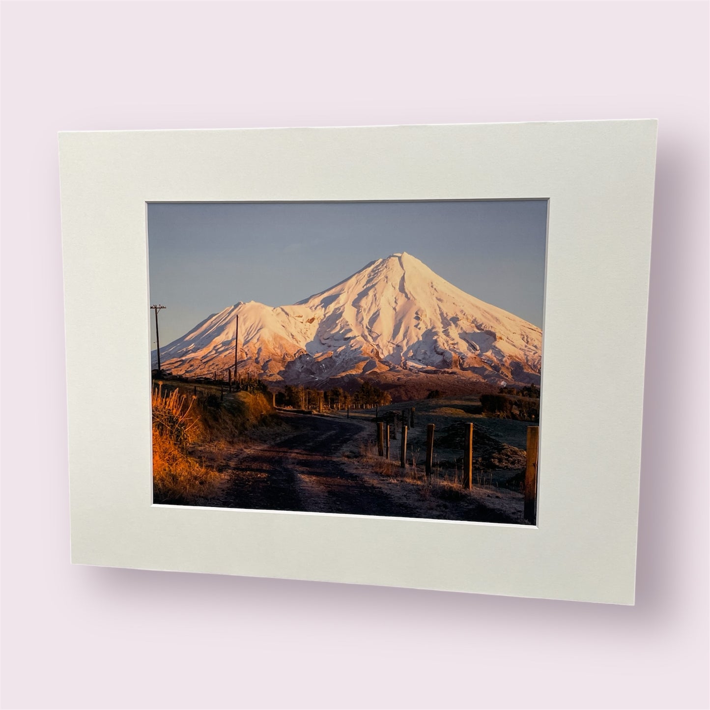 Assorted large matted photographs - Amy Taunt