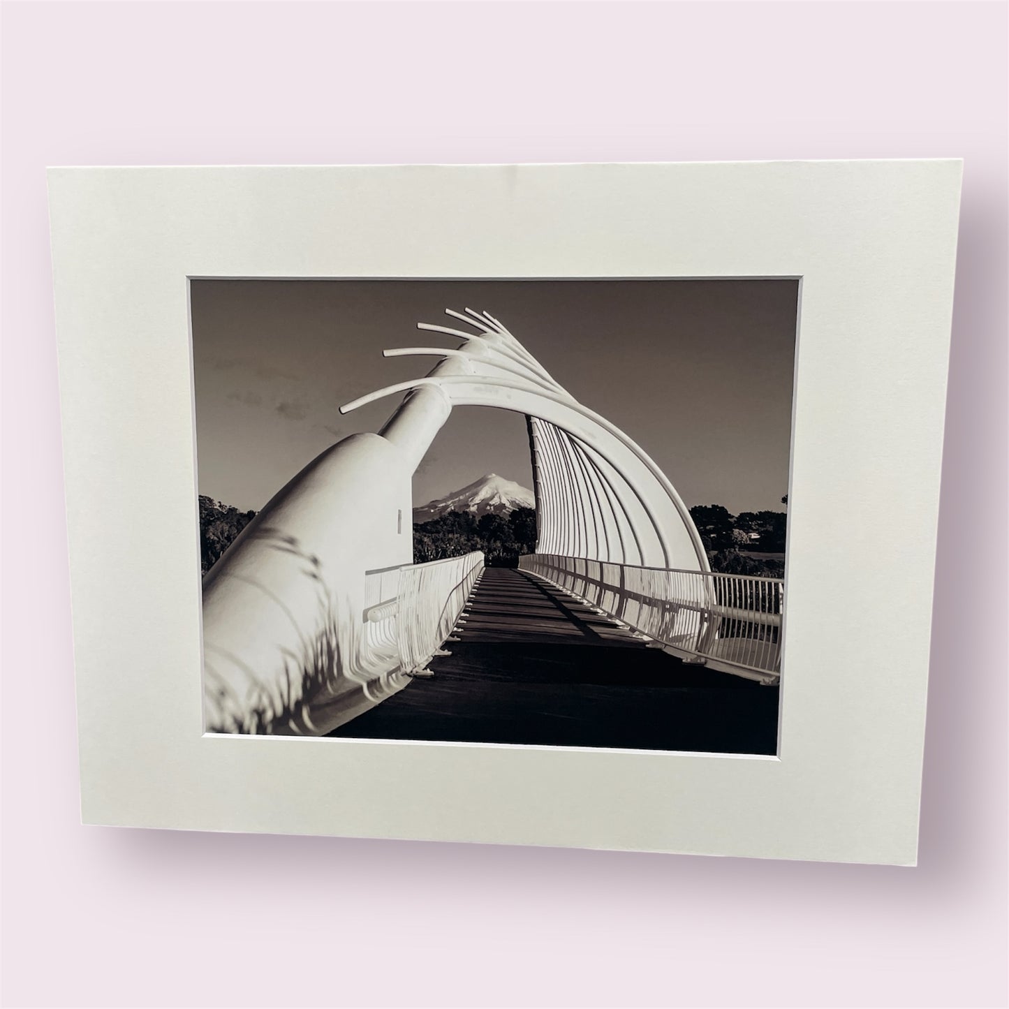 Assorted large matted photographs - Amy Taunt