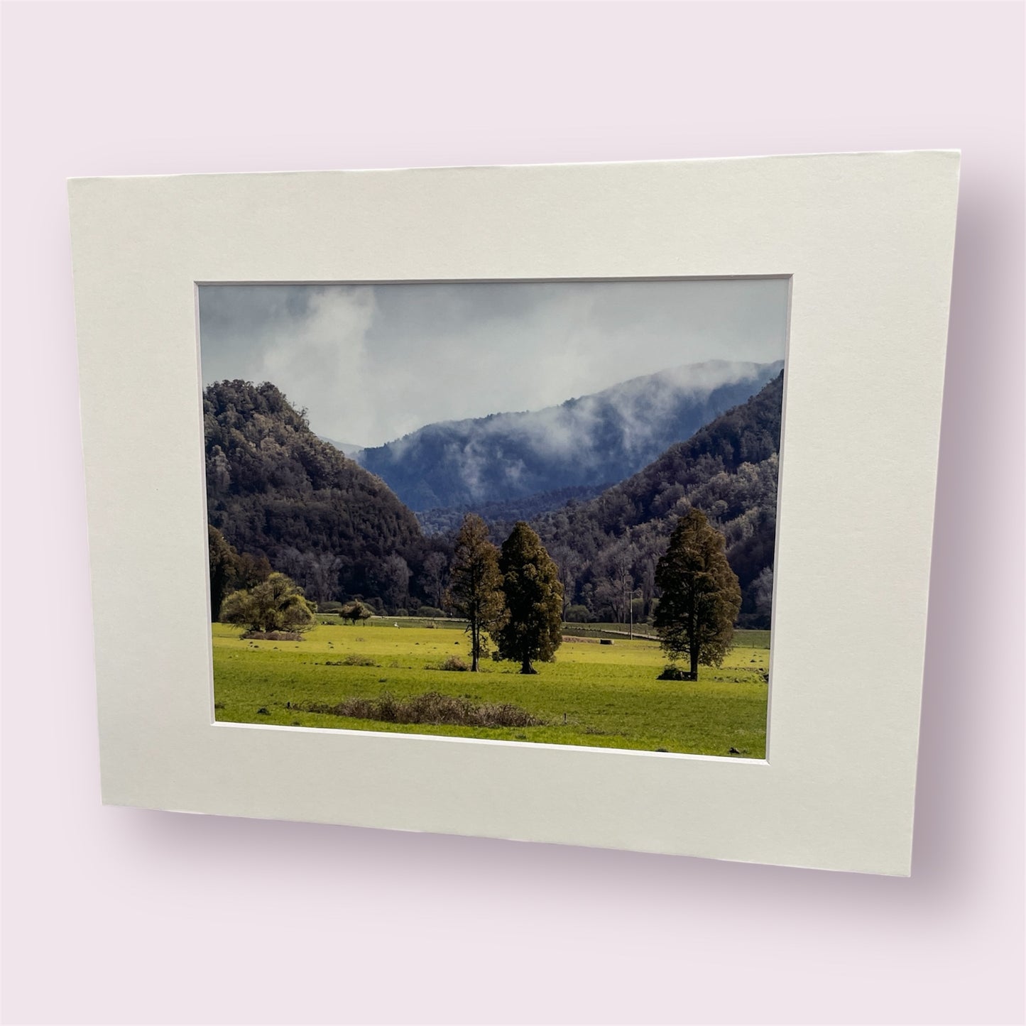 Assorted large matted photographs - Amy Taunt