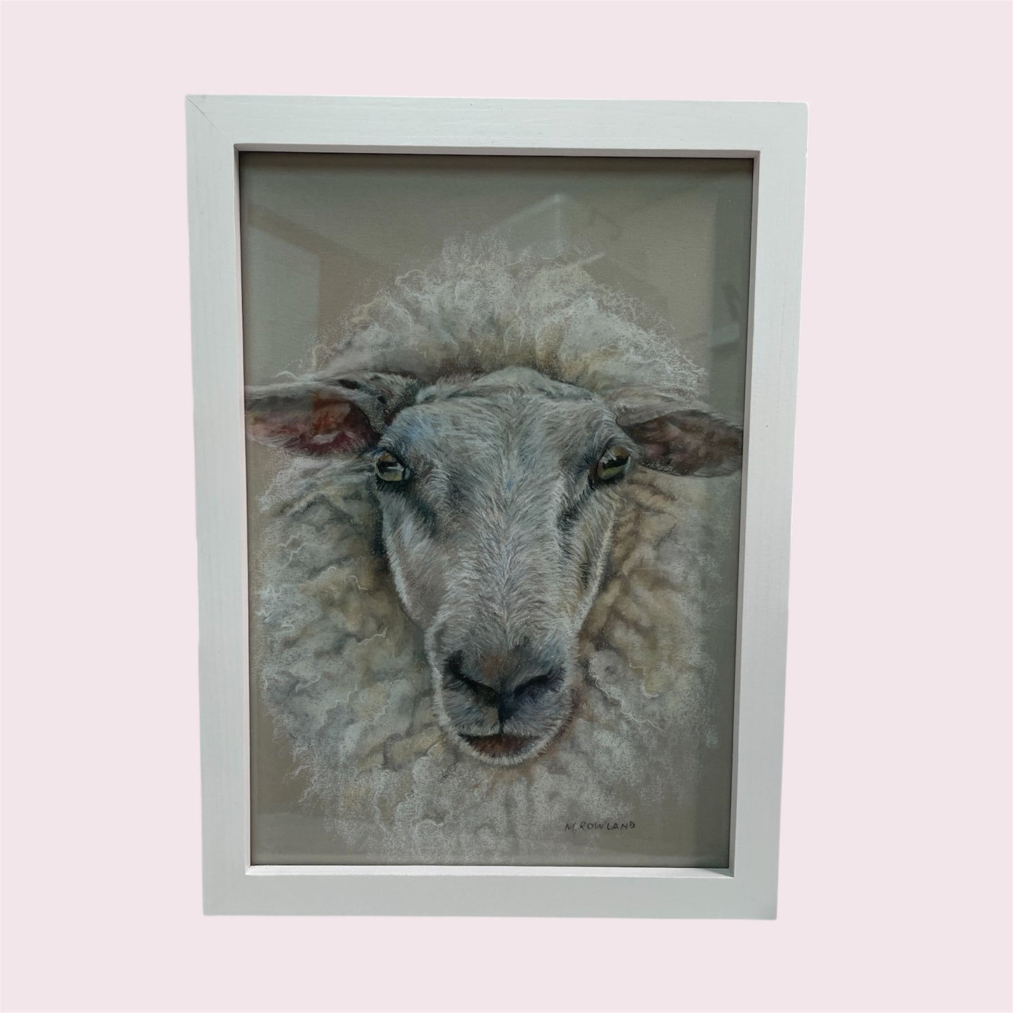 Looking at ewe - Michelle Rowland