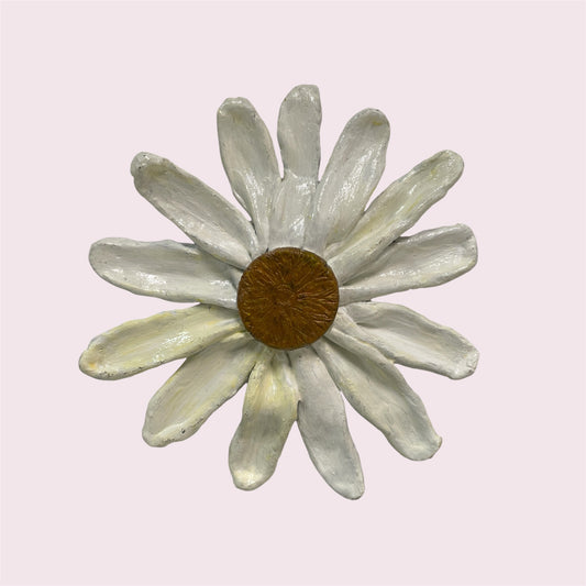 White daisy - Robyn Smaller