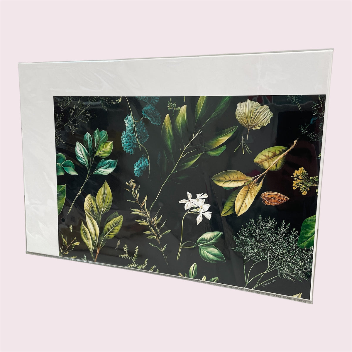 Flora 6F - Margaret Irving