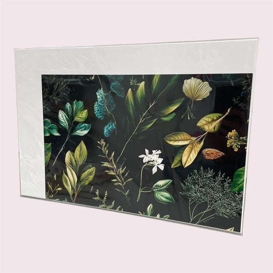 Flora 6F - Margaret Irving