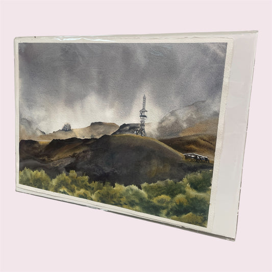 Tahurangi, North Egmont - Yvonne Geeraedts