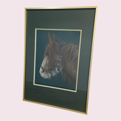 Hoiho - Susie Harrop