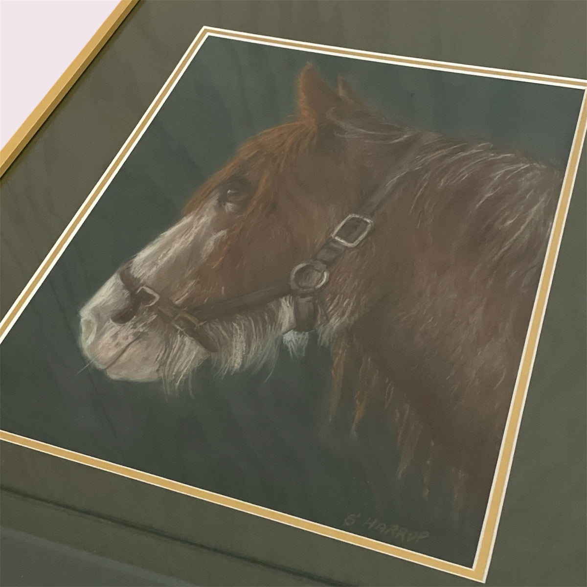 Hoiho - Susie Harrop