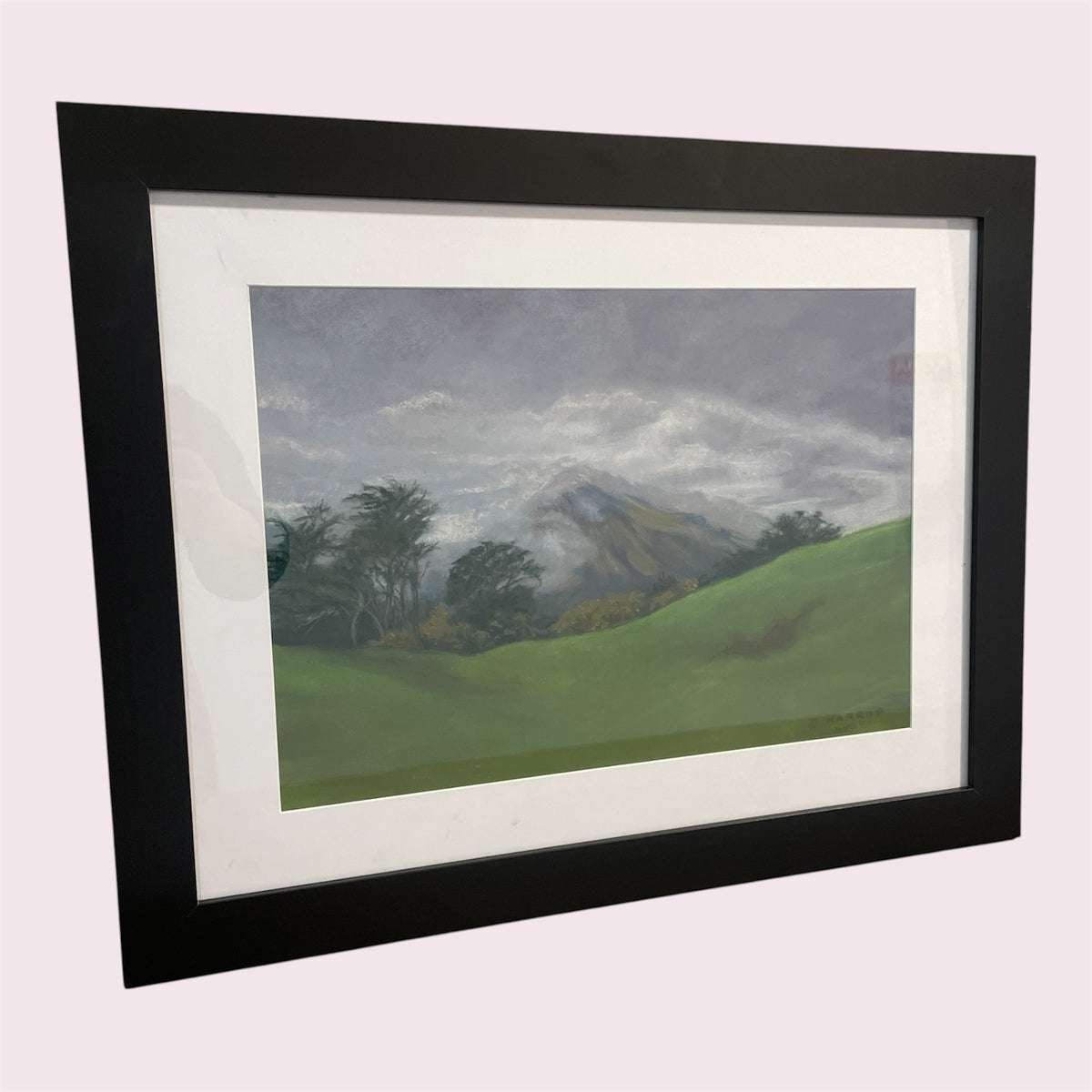 Overcast - Susie Harrop