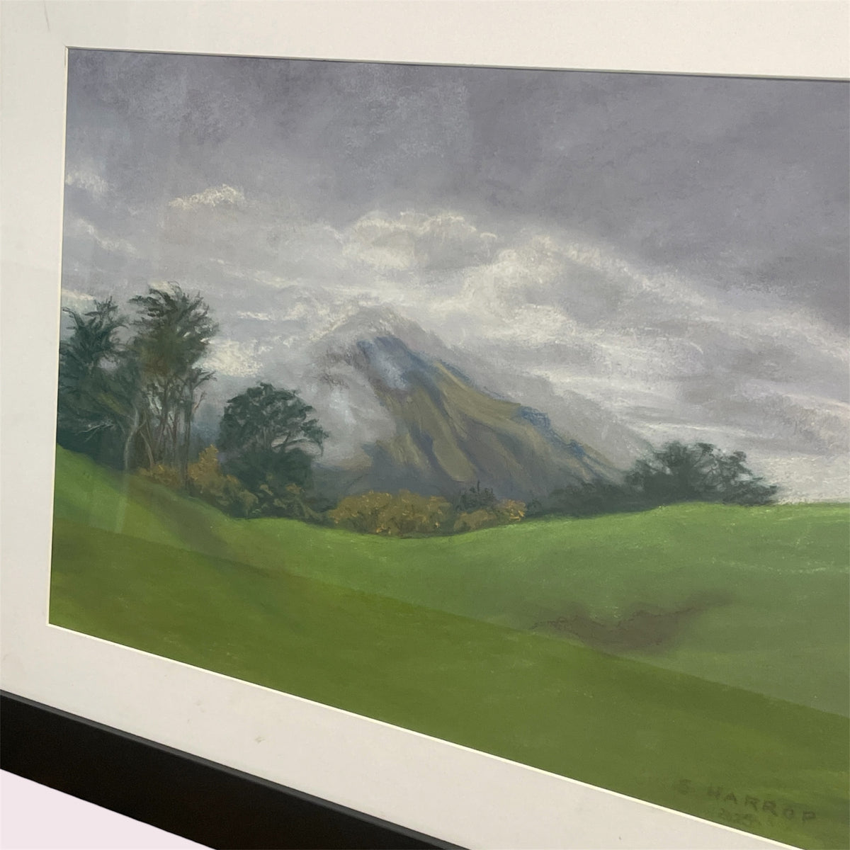 Overcast - Susie Harrop